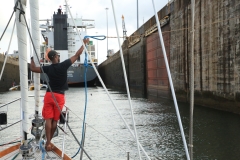 Oscar-holding-the-line-high