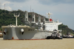 Another massive ship