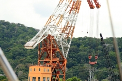 crane